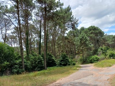 Terreno, Venta, Club del Lago  - Ref : PBI14201