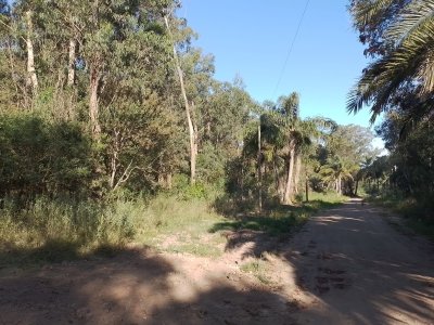 Venta de lote en Sauce de Portezuelo - Ref : PBI2884