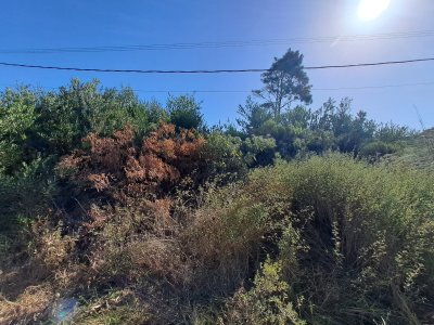 Venta de lote. ¡ Oportunidad con vista al Mar ! - Ref : PBI14349