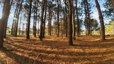 Venta de Terreno en la Serena - Ref : PBI13778