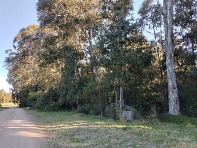 Venta de lote en Sauce de Portezuelo - Ref : PBI2890