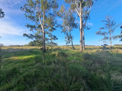Venta de lote en Eden Rock - Ref : PBI14737