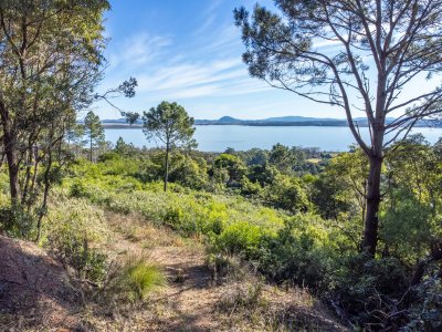 Terreno en venta en Las Cumbres, Punta Ballena  - Ref : PBI15037