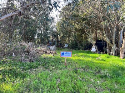Lote en Sauce de Portezuelo, Maldonado - Ref : PBI2715