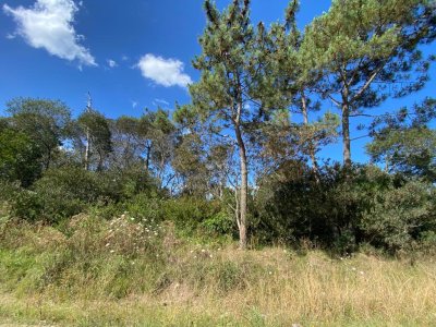 Terreno en Ocean Park - Ref : PBI2920
