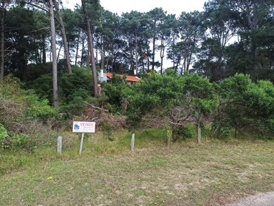 Terreno en Laguna del Sauce, Punta Ballena - Ref : PBI13367