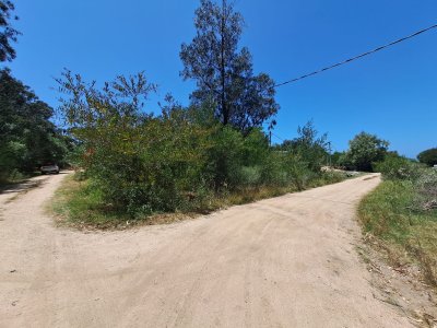 Lote en venta  - Ref : PBI14305