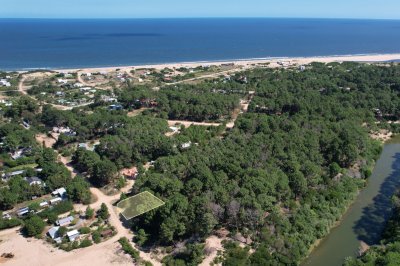 Terreno en Chihuahua, Punta Ballena - Ref : PBI13196