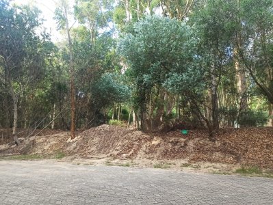 Terreno en Design Village  - Ref : PBI13480