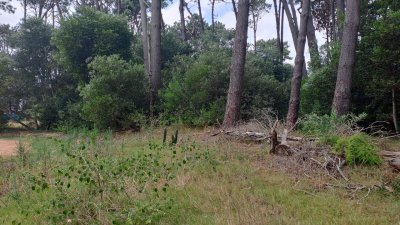 Venta de lote 1000M2 Nuevo Barrio Cerrado en La Barra  - Ref : PBI12681