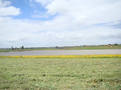 Lote en Laguna de los Cisnes, Punta Ballena - Ref : PBI2734