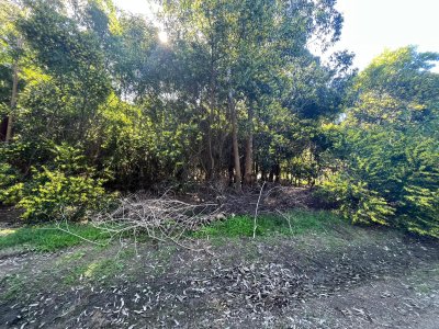 Terreno en venta en Sauce de Portezuelo, Punta Ballena  - Ref : PBI15106