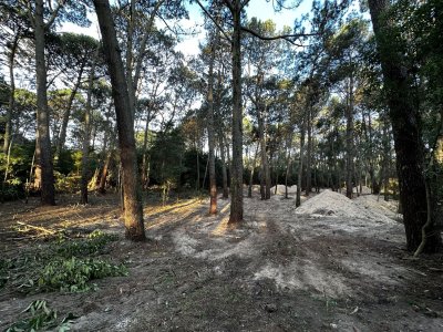 Terreno en Portezuelo Bosque, Punta Ballena - Ref : PBI12598