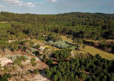 Terreno en venta en Barrio Privado en Punta Ballena  - Ref : PBI14838