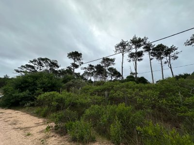 Terreno en venta en Chihuahua - Ref : PBI13697