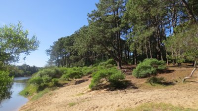 Terreno en Chihuahua, Punta Ballena - Ref : PBI3044