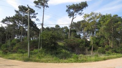 Terreno en venta Chihuahua, Punta ballena.  - Ref : PBI1196
