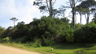 Terreno en venta Chihuahua  - Ref : PBI1198
