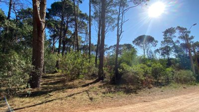 Terreno en venta Club Del Lago  - Ref : PBI1387
