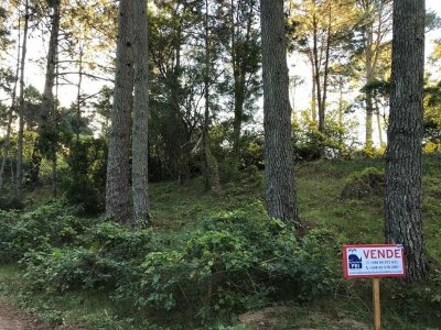 Terreno en venta Portezuelo Bosque   - Ref : PBI637