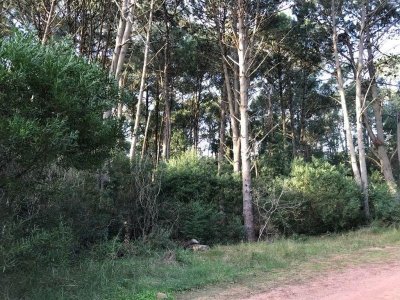 Terreno en venta Club Del Lago  - Ref : PBI807
