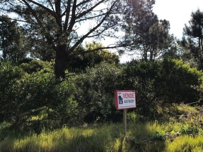 Terreno en venta Tio Tom  - Ref : PBI868