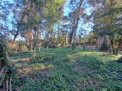 ¡Oportunidad! Lote en El Golf, Playa Brava