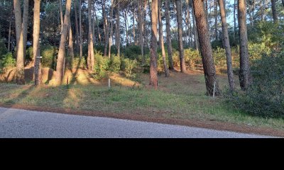 Venta de lote en Club del Lago  - Ref : PBI2842