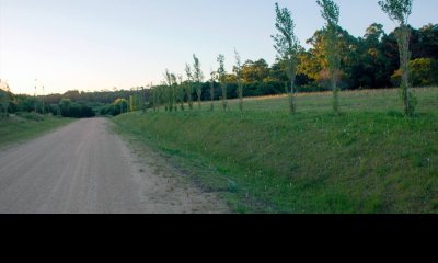 Lote en Punta Ballena, Maldonado - Ref : PBI2722