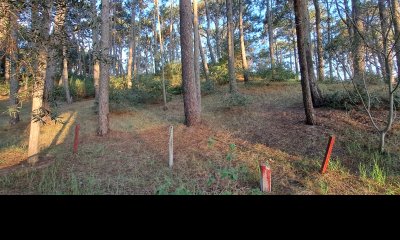 Venta de lote en Club del Lago  - Ref : PBI2841