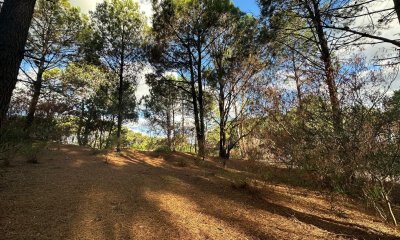 Terreno en Chihuahua, Punta Ballena - Ref : PBI3048