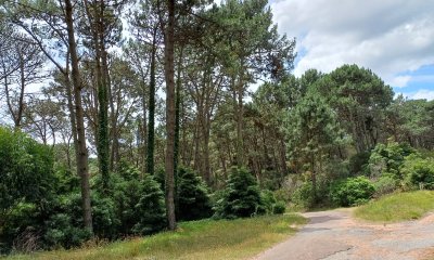 Terreno, Venta, Club del Lago  - Ref : PBI14201