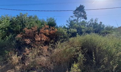 Venta de lote. ¡ Oportunidad con vista al Mar ! - Ref : PBI14349