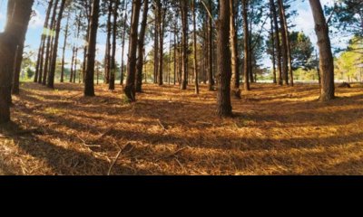 Terreno en venta en La Serena, Punta Ballena  - Ref : PBI14111