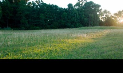 Lote en Punta Ballena, Maldonado - Ref : PBI2720