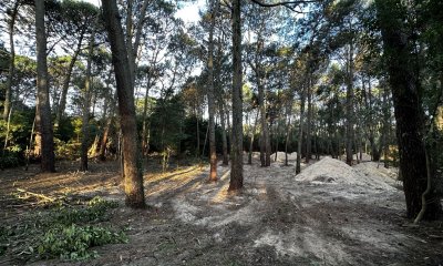 Terreno en Portezuelo Bosque, Punta Ballena - Ref : PBI12598
