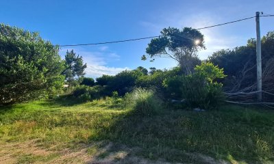 Terreno Balneario Bs As - Ref : PBI13076
