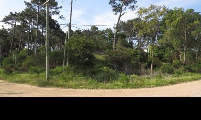 Terreno en venta Chihuahua, Punta ballena.  - Ref : PBI1196