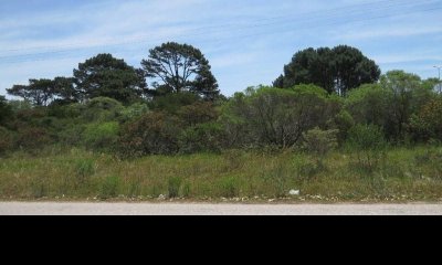 Terreno en venta Chihuahua  - Ref : PBI1218