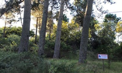 Terreno en venta Portezuelo Bosque   - Ref : PBI804