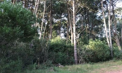 Terreno en venta Club Del Lago  - Ref : PBI807