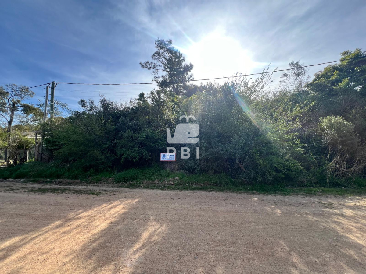 dGVycmVubywgdmVudGEsIE9jZWFuIFBhcmsgUHVudGEgQmFsbGVuYSAtIFJlZiA6IFBCSTE0MDg2