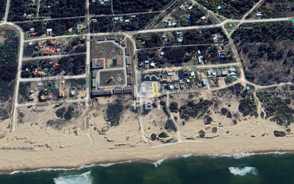 Sauce de Portezuelo - GoPunta - Portal Inmobiliario de Punta del Este - Maldonado