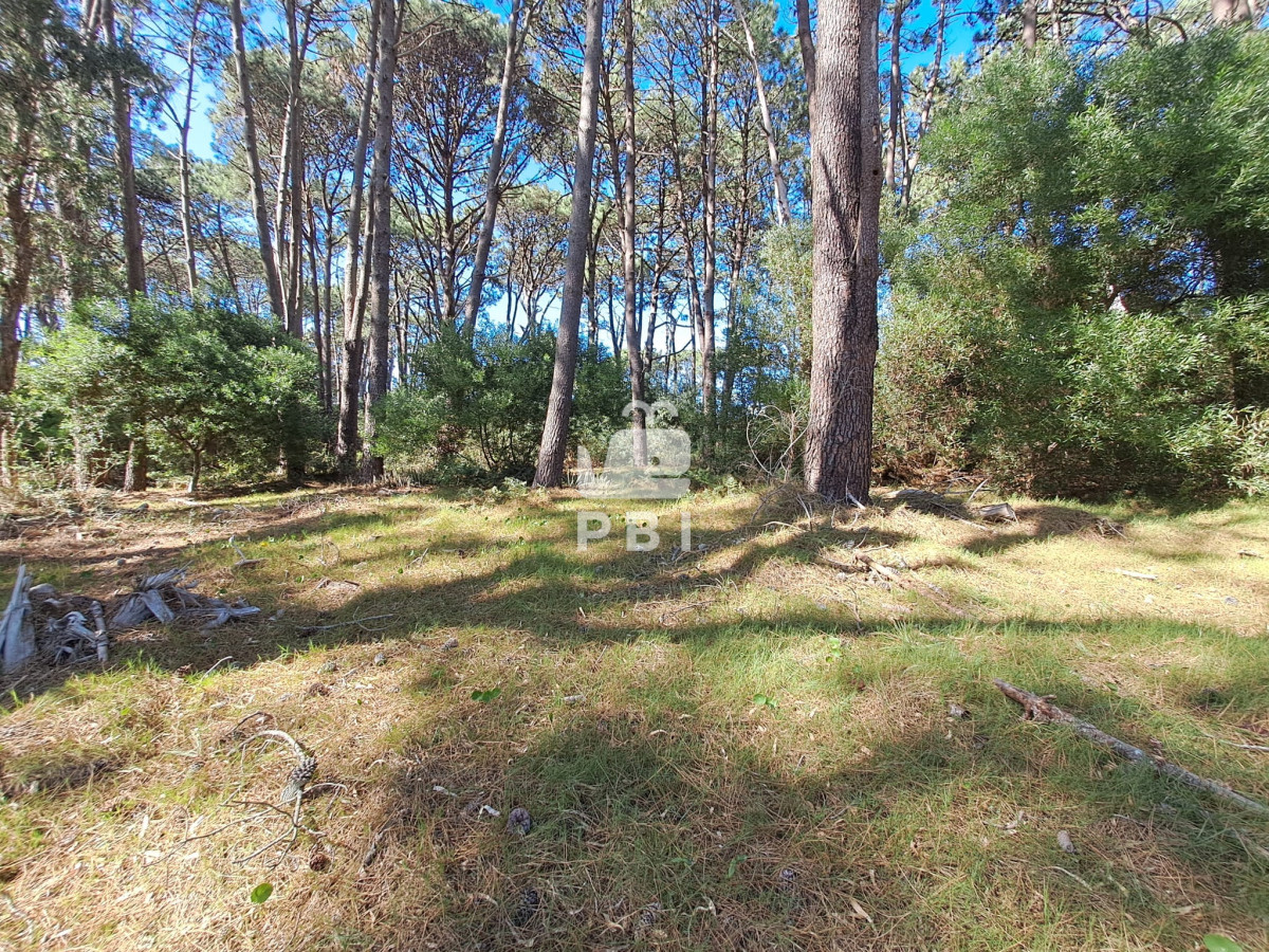 La Reserva - GoPunta - Portal Inmobiliario de Punta del Este - Maldonado