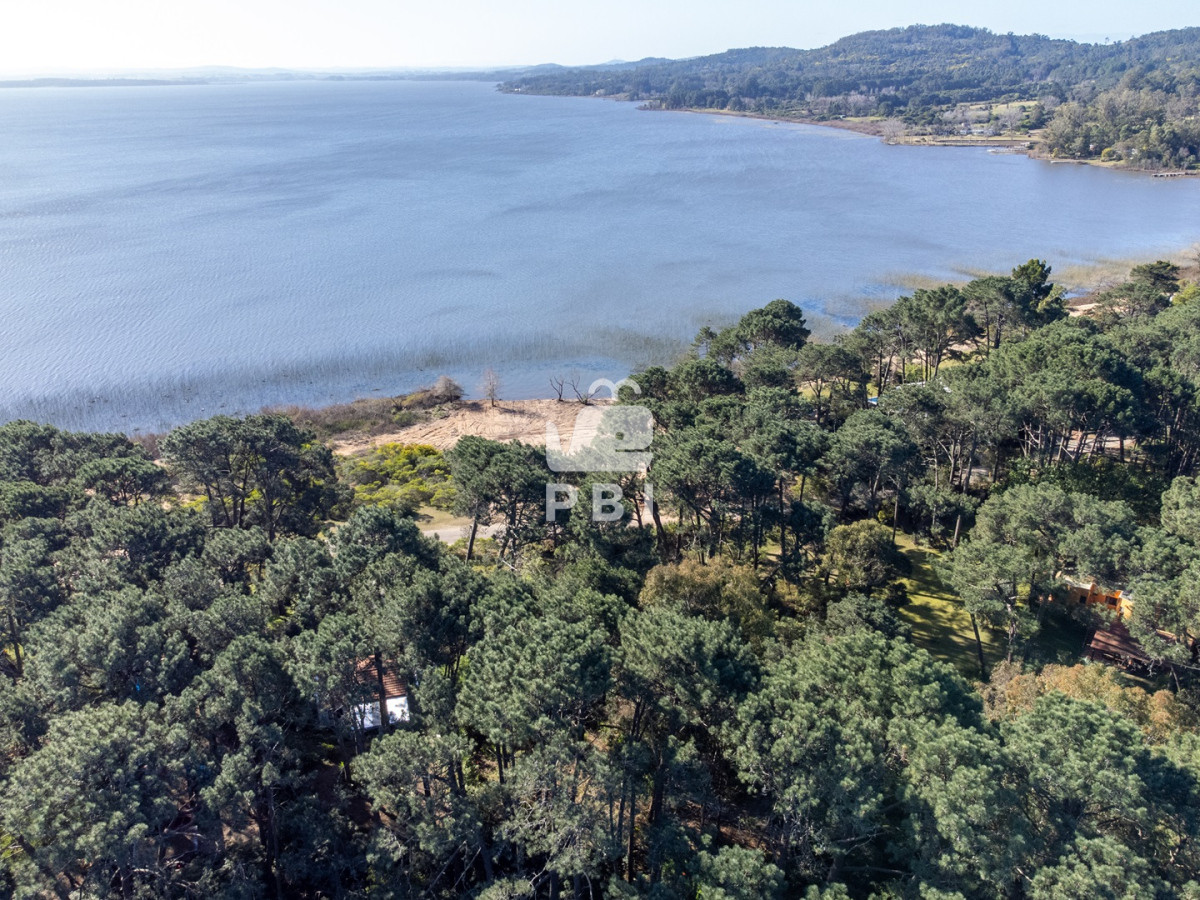 Laguna del Sauce - GoPunta - Portal Inmobiliario de Punta del Este - Maldonado