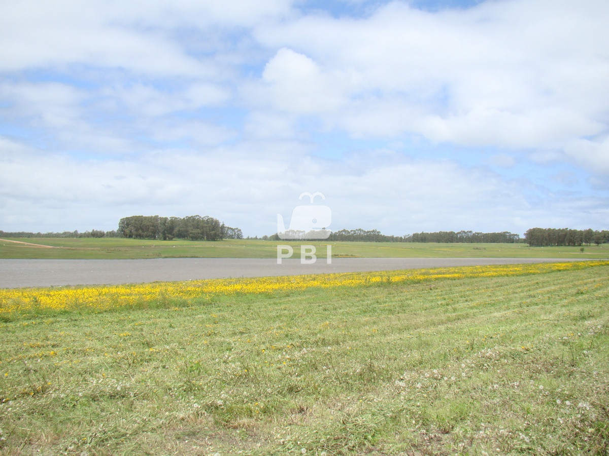 TG90ZSBlbiBMYWd1bmEgZGUgbG9zIENpc25lcywgUHVudGEgQmFsbGVuYSAtIFJlZiA6IFBCSTI3MzQ=