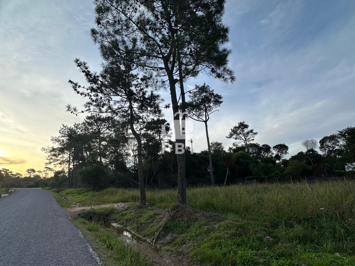 Terreno en Ocean Park - Ref : PBI2920