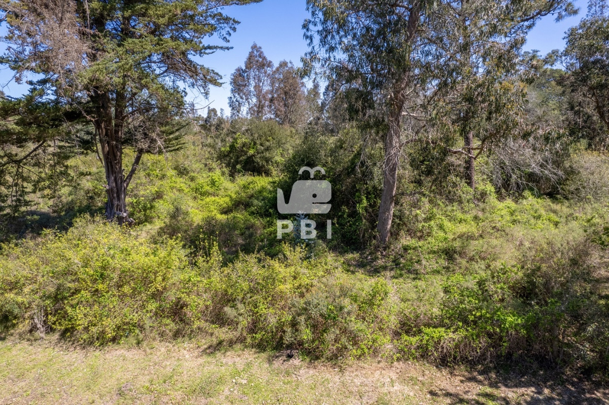 La Capuera - GoPunta - Portal Inmobiliario de Punta del Este - Maldonado
