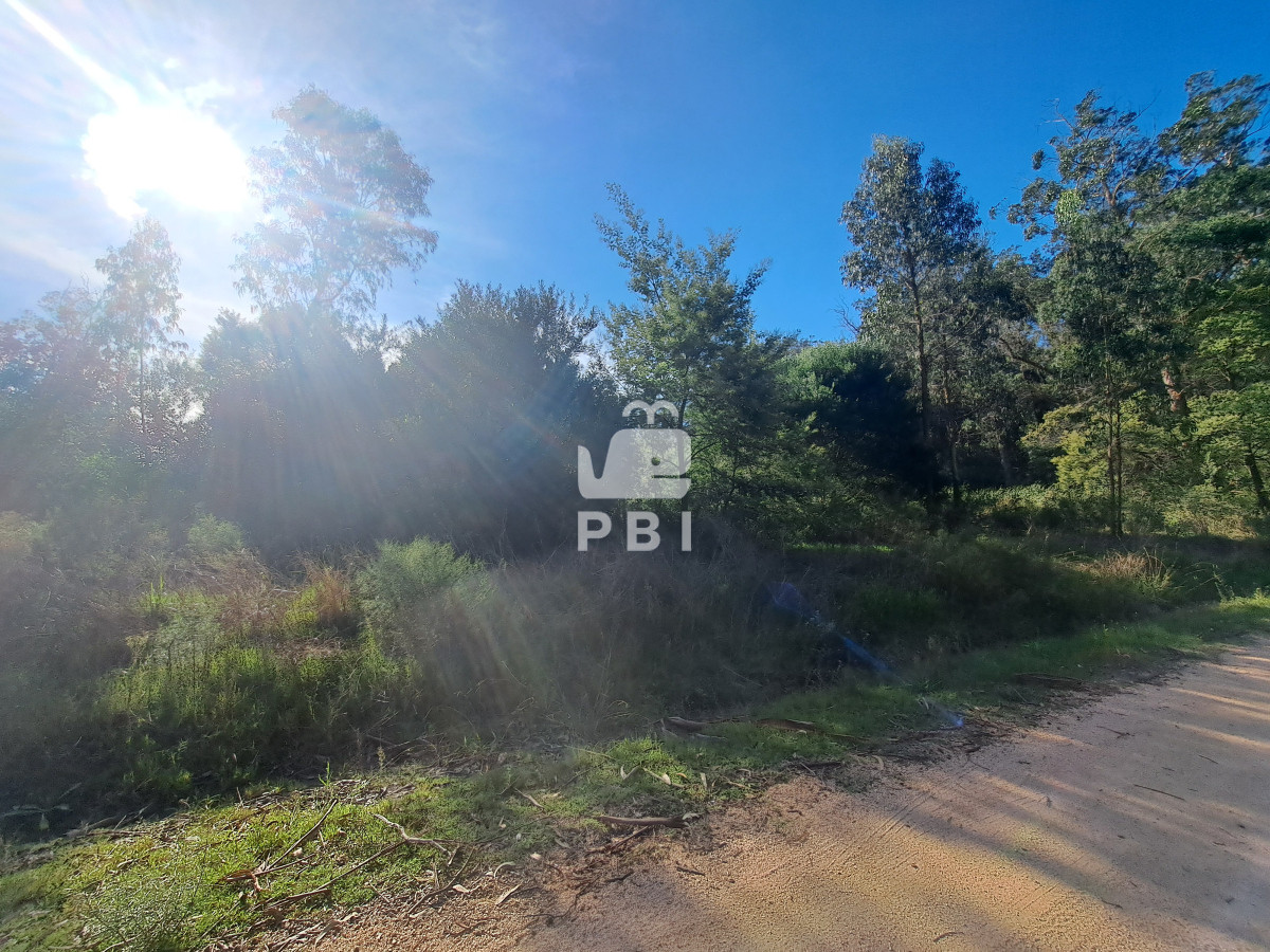 Venta de lote en  Eden Rock - Ref : PBI14740