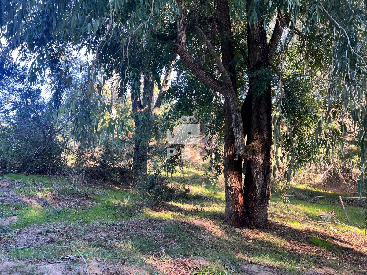 VGVycmVubyBlbiB2ZW50YSBlbiBDbHViIGRlbCBMYWdvIC0gUmVmIDogUEJJMTQ5NzI=